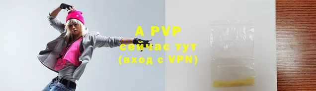 стафф Гусиноозёрск
