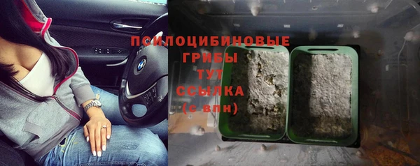 а пвп мука Гусь-Хрустальный